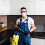 Pest Control Without Smell
