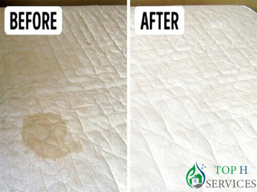 Bed mattress cleaning