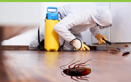 pest control services in Dubai