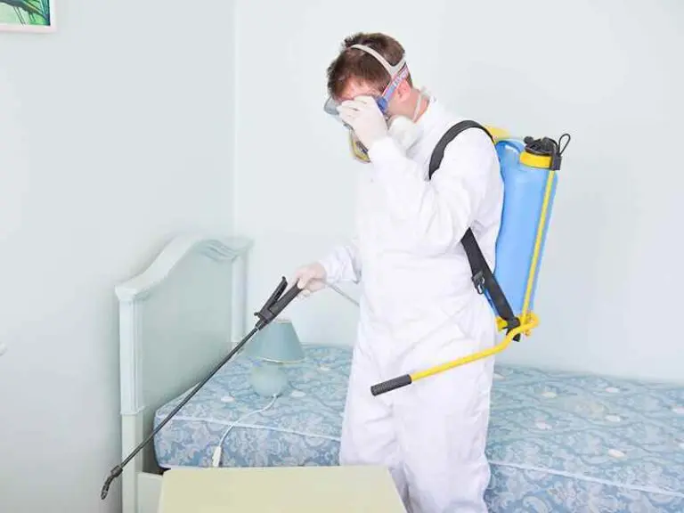 pest control without sme;; in Dubai