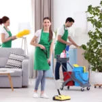 تنظيف-المنازل