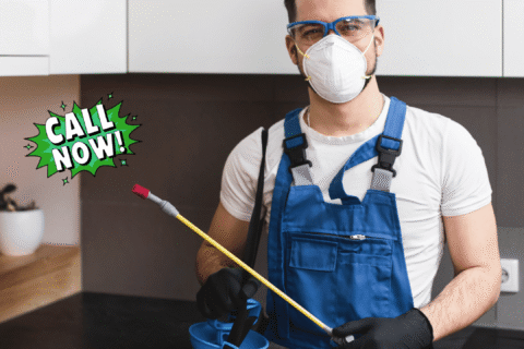 Pest Control Abu Dhabi