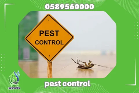 Cockroach Control in Abu Dhabi