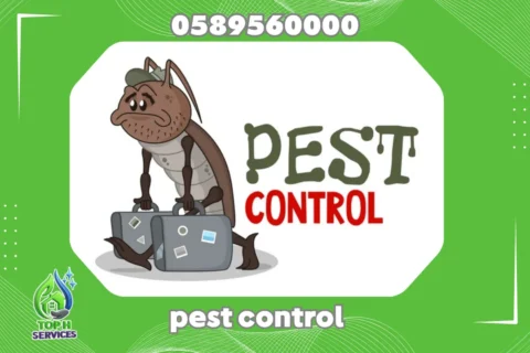 Pest Control in Ajman