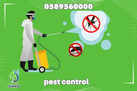 Cockroach Control in Ajman