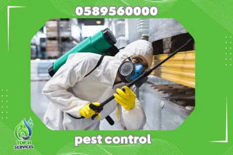 Cockroach Control in Ajman