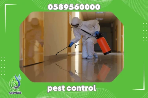 Cockroach Control in Sharjah