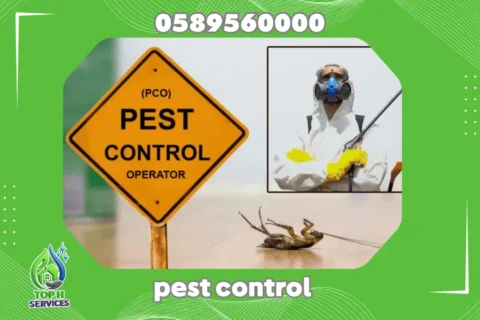 Cockroach Control in Abu Dhabi