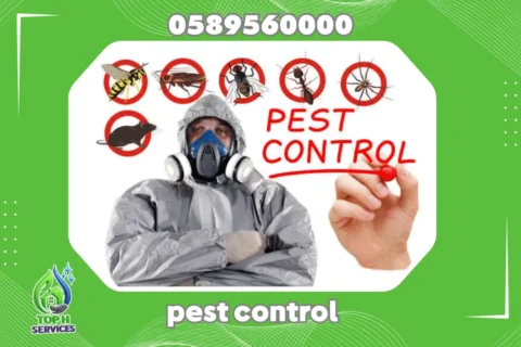 Cockroach Control in Abu Dhabi