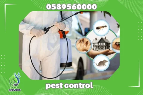 Cockroach Control in Abu Dhabi