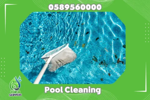 Pool Cleaning