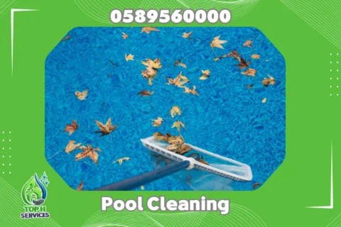 Pool Cleaning