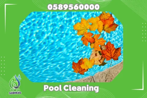Pool Cleaning