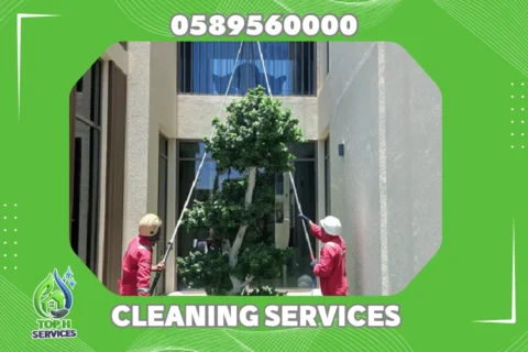 Villa Facade Cleaning in Ajman